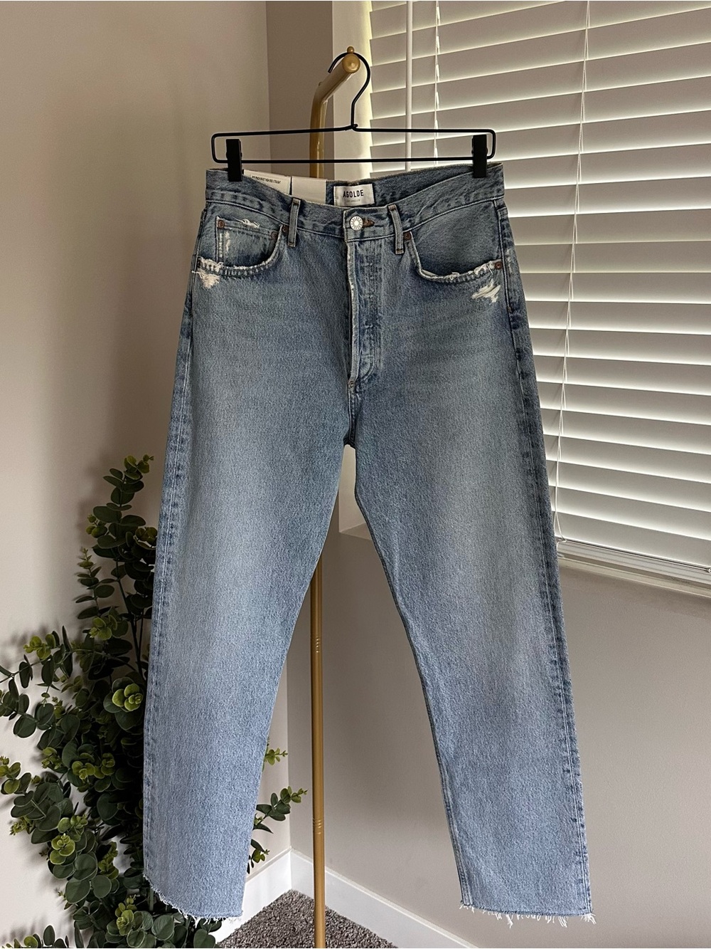 Agolde 90's Pinch Waist High Rise Straight